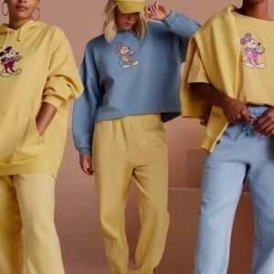 Disney Parks Mickey Mouse & Friends Crop Pullover Sweater Sweatshirt 3XL Resort